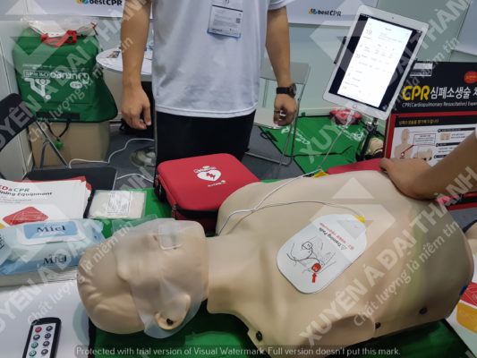 mô hình thực tập