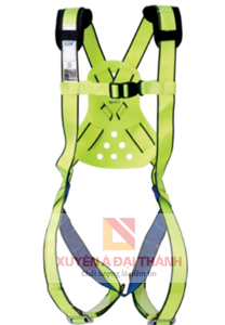 day-dai-dan-toan-basic-a1