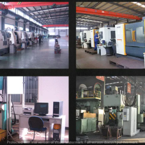 moc-cau-g80-dau-tron-noi-dia-trung