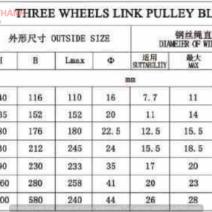 rong-roc-20-tan-3-ranh-moc-tron