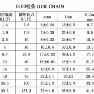 thong-so-ky-thuat-day-xich-cau-hang-g100