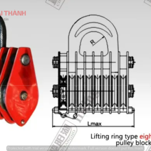 hinh-8-ranh-moc-ma-ni-2