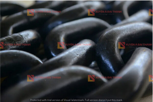 anh-chup-can-canh-day-xich-noi-dia-trung