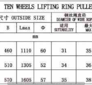 rong-roc-320-tan-10-ranh-moc-ma-ni