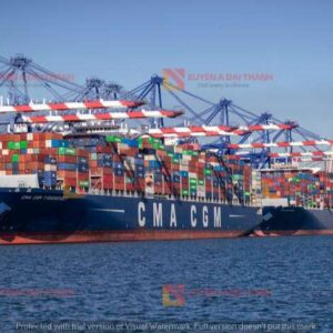 ung-dung-xich-neo-tau-bien