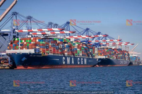 ung-dung-xich-neo-tau-bien