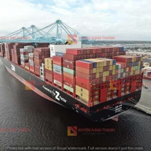 ung-dung-xich-neo-tau