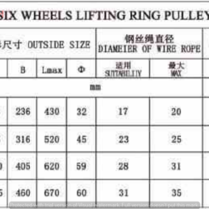 thong-so-rong-roc-100-tan-6-ranh-moc-ma-ni