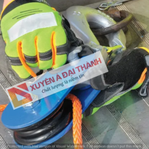 hinh-1-ranh-moc-ma-ni-3