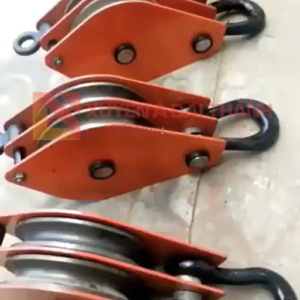 puly-20-tan-2-ranh-moc-ma-ni