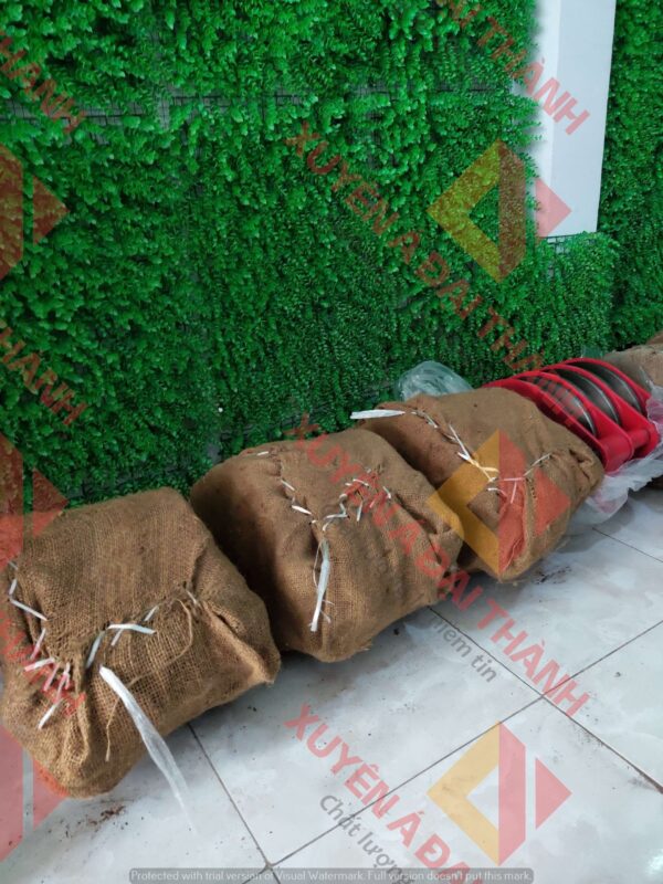 puly-20-tan-2-ranh-moc-ma-ni