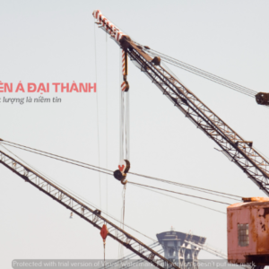 puly-20-tan-2-ranh-moc-ma-ni