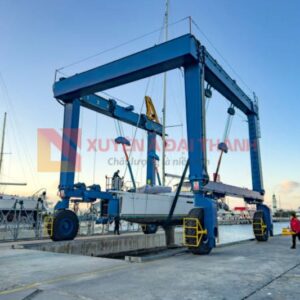 rong-roc-moc-cau-ung-dung