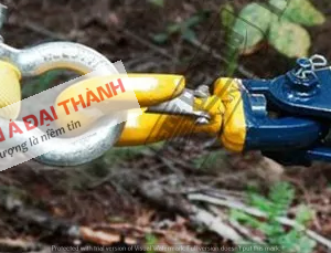 rong-rọc-noi-dia-trung-chat-luong