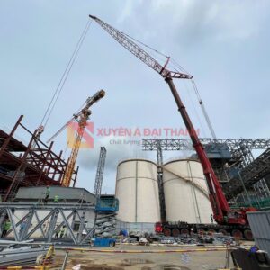 cap-thep-cau-truc-6xk31-19/6