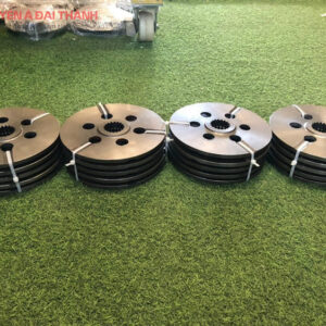 đĩa thắng pa lăng