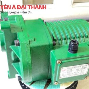 Motor-dam-bien-Dai-Loan-ITS