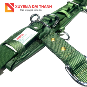 day-dai-dien-luc-adela-sc19