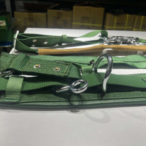 Hình ảnh dây đai an toàn Adela