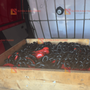 Đóng gói xích cẩu hàng - tại Xuyên Á Đại Thành