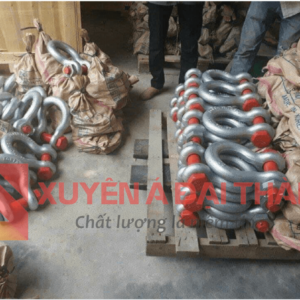 Ma ní omega chốt an toàn của Xuyên Á Đại Thành