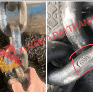 Xích đạt chuẩn G80