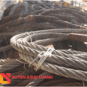 Bộ cẩu gù mắt mềm