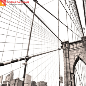 Cáp thép mạ kẽm dùng làm dây căng lưới rào chắn