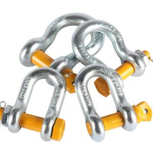 Ma-ni-omega-chot-van-ren-va-ma-ni-chu-u-thuong-hieu-dsl-my