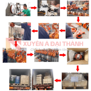 Quy trình sản xuất và xuát khẩu của công ty Xuyên Á Đại Thành