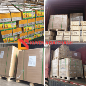 Xuyên Á Đại Thành nhập khẩu palang xích kéo tay