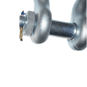 chot-ma-ni-omega-ma-kem-dien-thuong-hieu-my-dsl-nhap-khau-trung-quoc