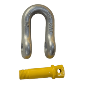 ma-ni-chu-d-chot-ren-van-100-nhap-khau-thuong-hieu-dsl