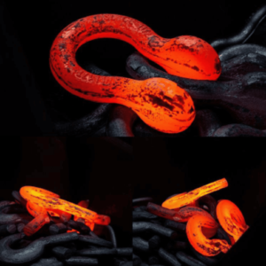 ma-ni-omega-U.S.Type G2130-thuong-hieu-dsl-my-dun-ren