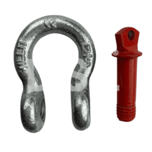 ma-ni-omega-chot-ren-van-thuong-hieu-my-dsl