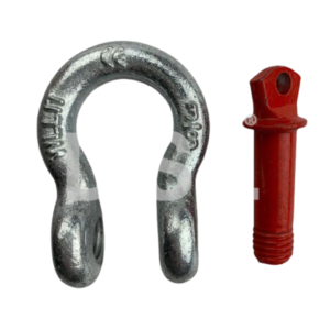 ma-ni-omega-chot-van-ren-thuong-hieu-dsl