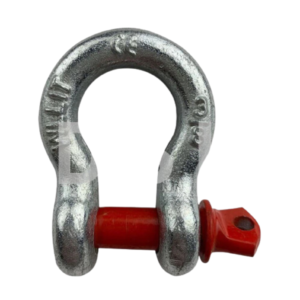 ma-ni-omega-chot-van-ren-thuong-hieu-dsl-my