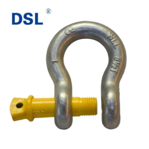 ma-ni-omega-chot-van-ren-thuong-hieu-my-dsl