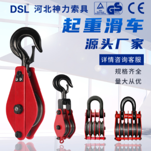 puly-rong-roc-2-ranh-thuong-hieu-dsl