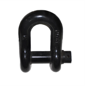 ma-ni-chu-d-mau-den-thuong-hieu-my-dsl