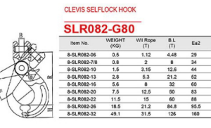 moc-cau-hang-chot-khoa-an-toan-g80-thuong-hieu-nhat-ban