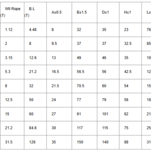moc-xich-cau-hang-g80-seagull