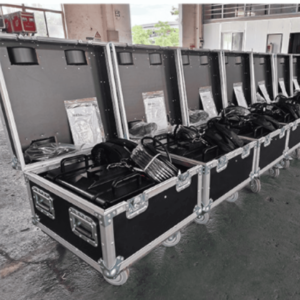 pa-lang-xich-dien-stage-hoist-seagull