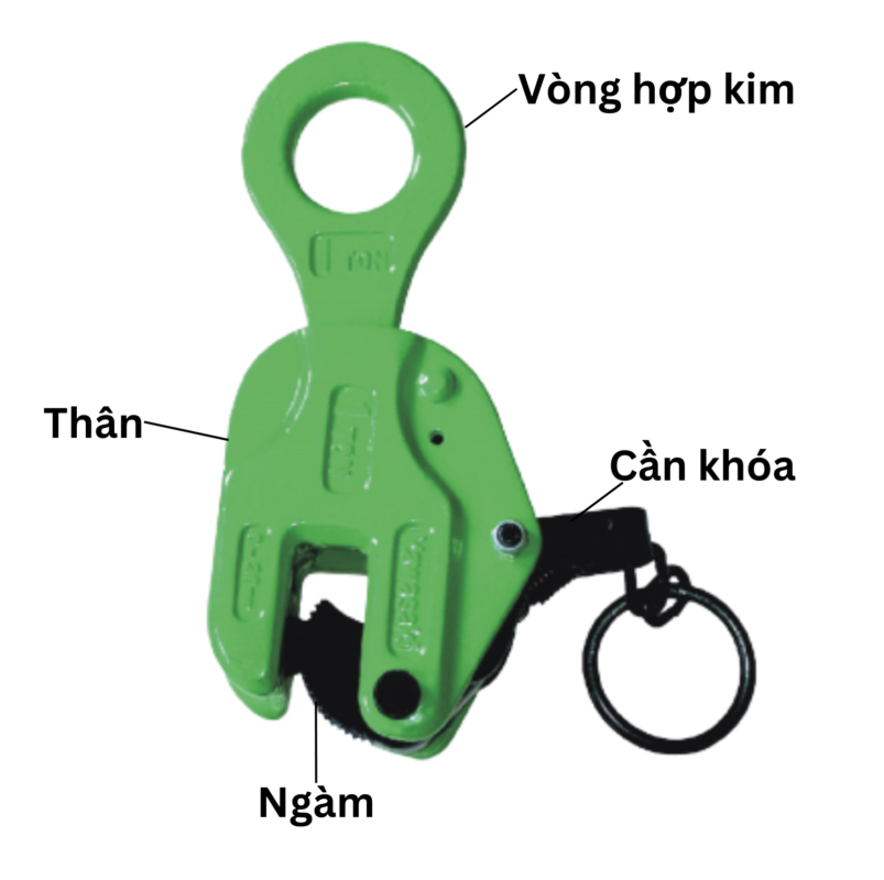 cau-tao-kep-ton-dung-model-e-apollo