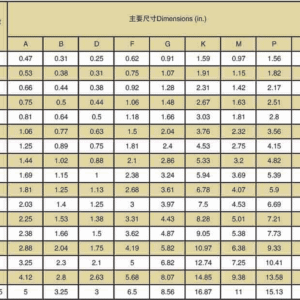 Đặc Điểm Nổi Bật