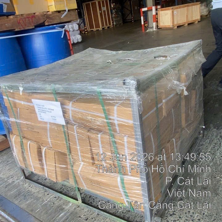 Chứng từ nhập khẩu múp cẩu snatch APOLLO H419